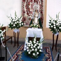 Visita de la Virgen del Rosario a los enfermos y al cementerio 2012