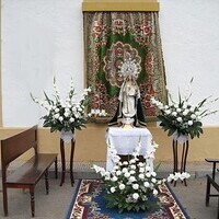 Visita de la Virgen del Rosario a los enfermos y al cementerio 2010