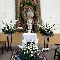 Visita de la Virgen del Rosario a los enfermos y al cementerio 2010