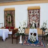 Visita de la Virgen del Rosario a los enfermos y al cementerio 2016