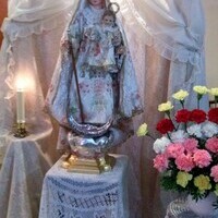 Visita de la Virgen del Rosario a los enfermos y al cementerio 2016