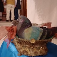 Bautizo del Niño Jesús, Candelaria - 2025