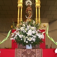 Actos Septiembre - Octubre en Honor a la Festividad de la Virgen del Rosario 2009